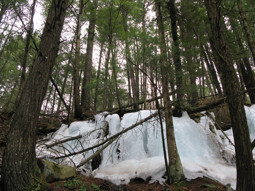 Randonnée sur les rives de la rivière Rouge « TripLevé