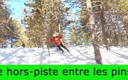 Entre les pins