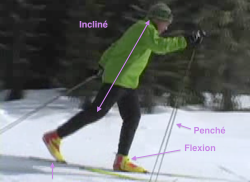 Technique pour une bonne glisse au pas alternatif. Photo extraite d'un intéressant vidéo de Steve Hindman http://vimeo.com/1170305