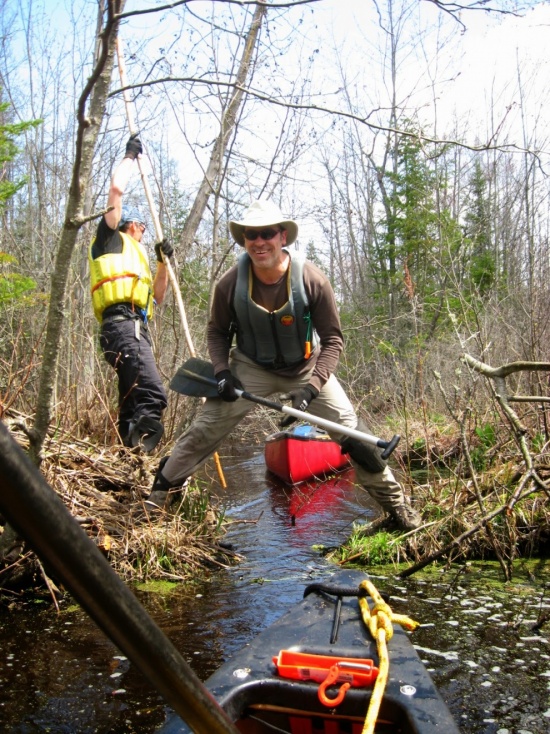 Passage étroit. Exploration des tourbières de Lanoraie; bassin de la petite rivière St-Joseph; approche par l'amont. Photo par Antoine Dervin, 10 mai 2014.