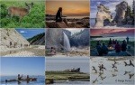Photo tirées de l'Aventure Côte Nord et Anticosti précédente.