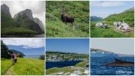 Montage de voyage VVV précédent à Terre-Neuve.