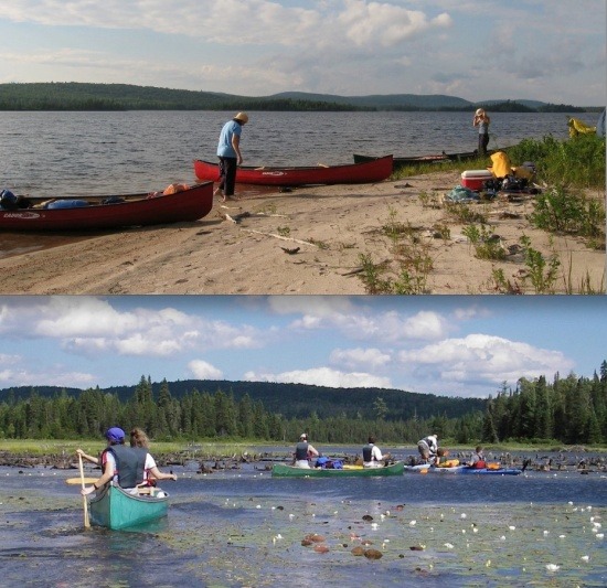 VVV au lac Lusignan: Une belle plage photographiée par Marie-Noëlle Gagnon (en 2007); les nénuphars (en 2005).